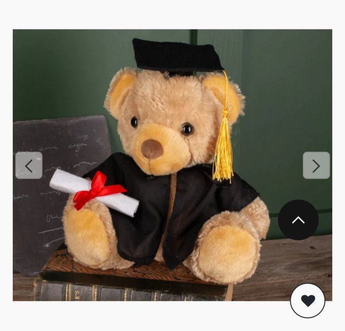 Ours avec son diplome 